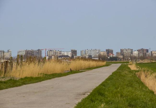 beleidsplan ruimte