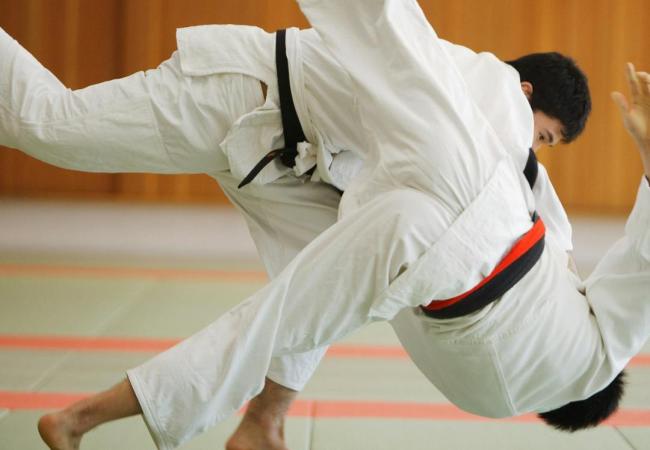 Luistervinken: Op de tatami met Jean-Marie © MI