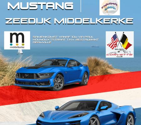 CORVETTE MEETS MUSTANG © Jonny Bens
