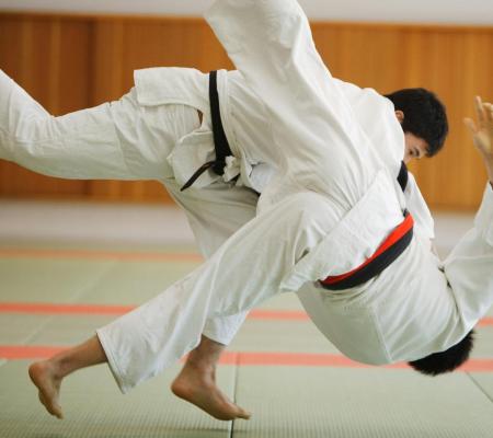 Luistervinken: Op de tatami met Jean-Marie © MI