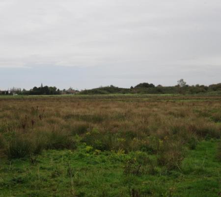 Puidenbroeken