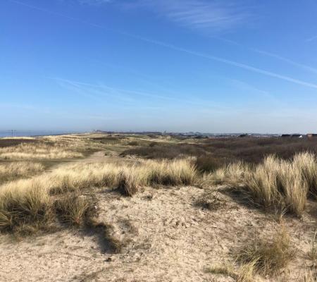 Nature reserves 