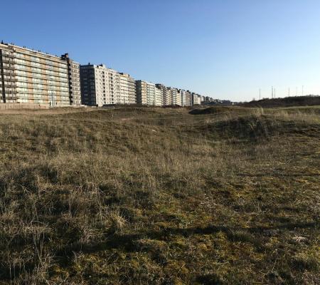 Warandeduinen