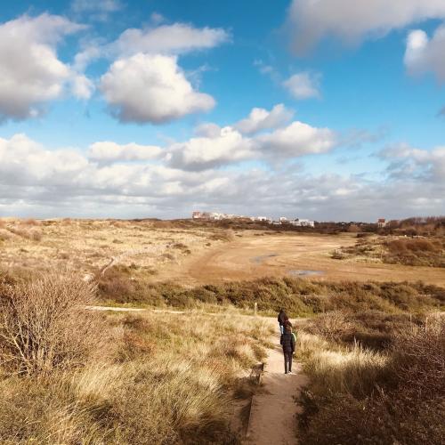 sint-laureinsduinen