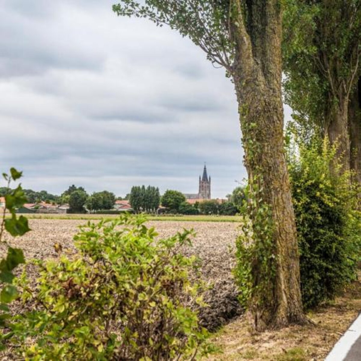 Ontdek het hinterland